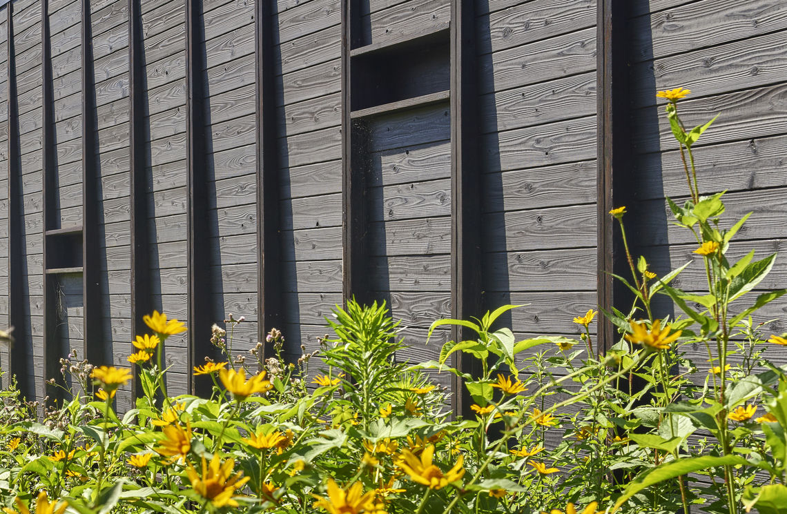 2019 06 21 digdis36 a